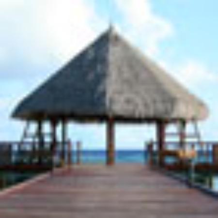 Jammin' Jamaica